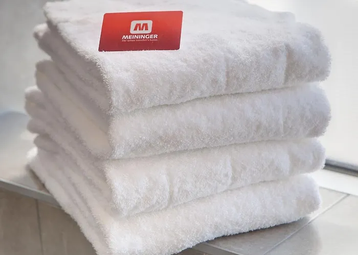 Meininger Alexanderplatz 3*