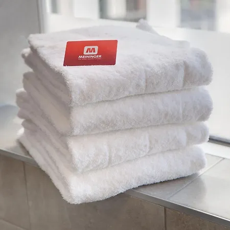 مانينغر ألكسندربلاتز 3*